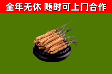 济宁市烟酒回收冬虫夏草.jpg